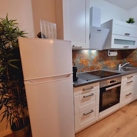 Lifestyle-Appartment Near Basf In Ludwigshafen Екстер'єр фото