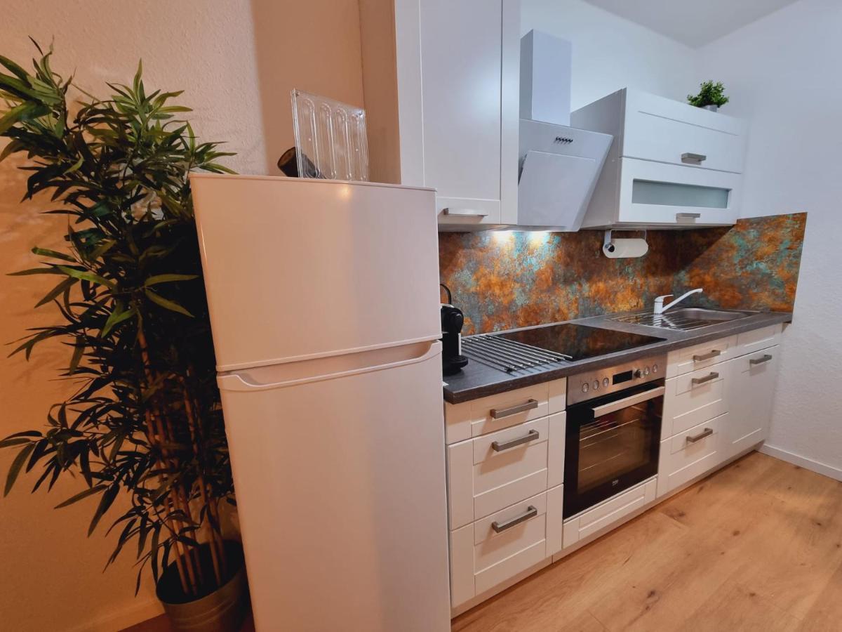 Lifestyle-Appartment Near Basf In Ludwigshafen Екстер'єр фото